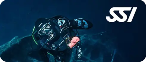 SSI